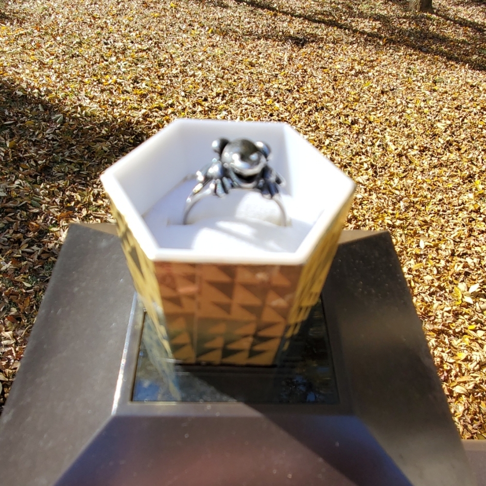 silver frog ring